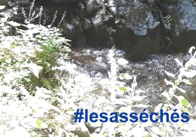 UFC QUE CHOISIR Clermont Ferrand fête ses 50 ans